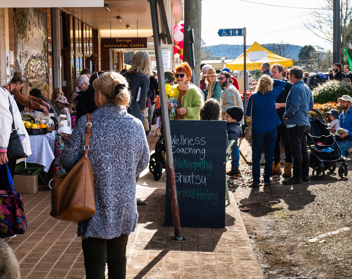 Link to visitor information for Dorrigo and surrounding areas